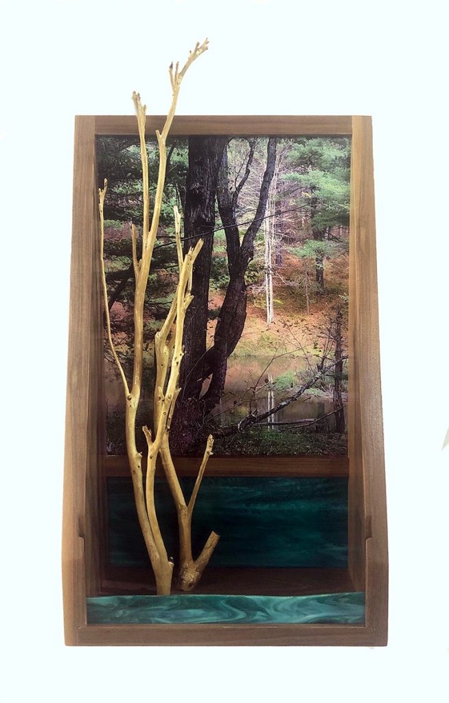 Eva M. Capobianco • <em>FLT, M13 - Pond, Trees and Green Glass</em> • Photo, stained glass, found and reused wood • 12″×23″×5″ • $425.00