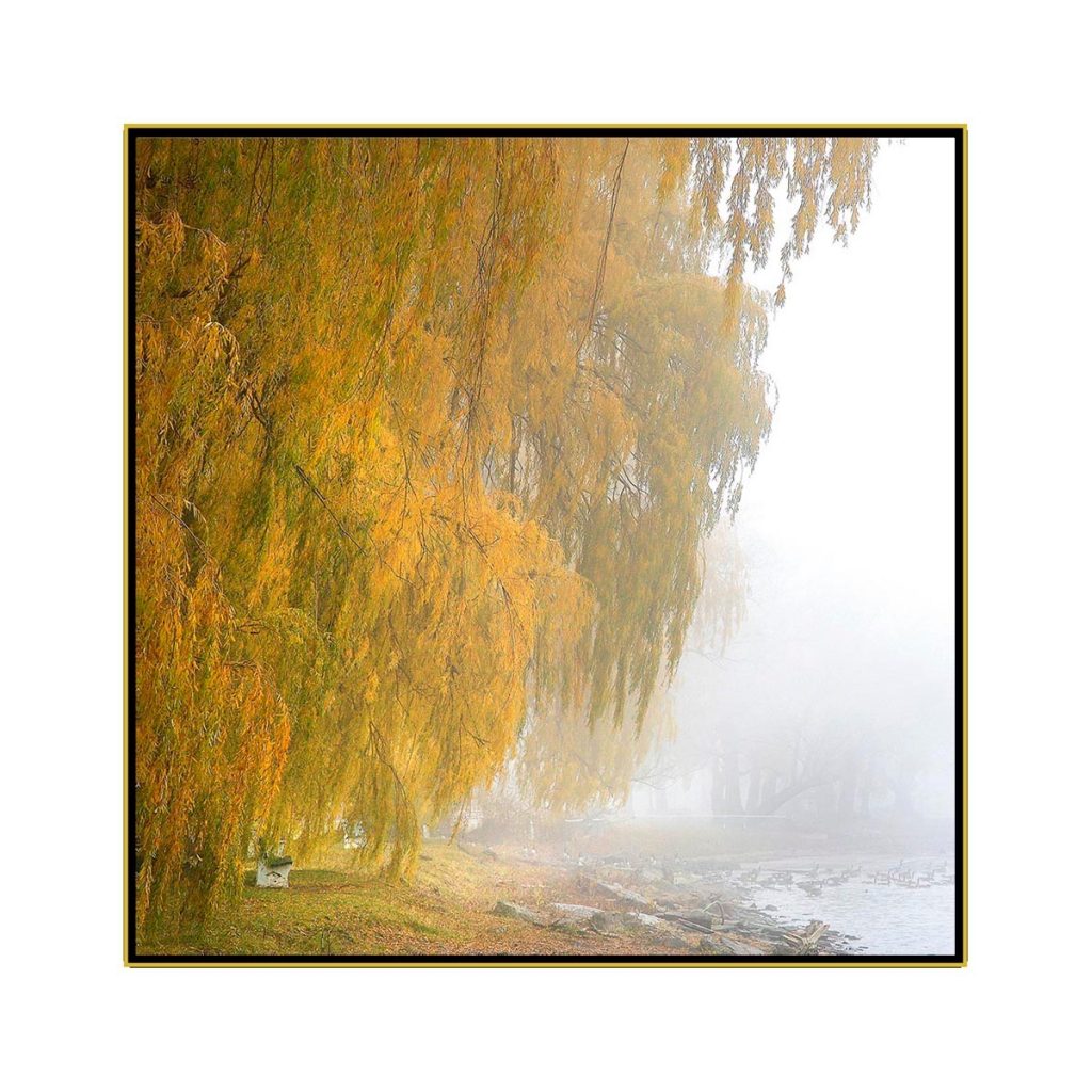 David Watkins Jr • <em>Willows in the Mist No.2</em> • Archival pigment on canvas • 30″×30″ • $425.00