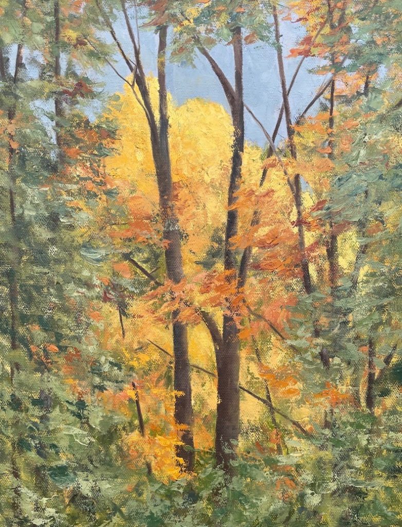 Patty L Porter • <em>Cold Springs Road  ~ Morning Light</em> • Oil on gallery wrapped canvas • 11″×14″ • $250.00