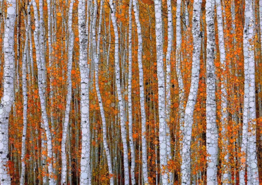 Daniel McPheeters • <em>Autumn Aspens</em> • Mixed media on panel • 24″×17″ • $200.00<a class="purchase" href="https://state-of-the-art-gallery.square.site/product/daniel-mcpheeters-autumn-aspens/882" target="_blank">Buy</a>