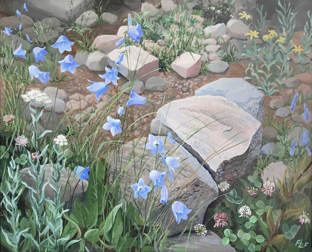 Frances Fawcett • <em>Colorado Harebells</em> • Acrylic on canvas • 30″×24″ • $950.00<a class="purchase" href="https://state-of-the-art-gallery.square.site/product/frances-fawcett-colorado-harebells/1092" target="_blank">Buy</a>