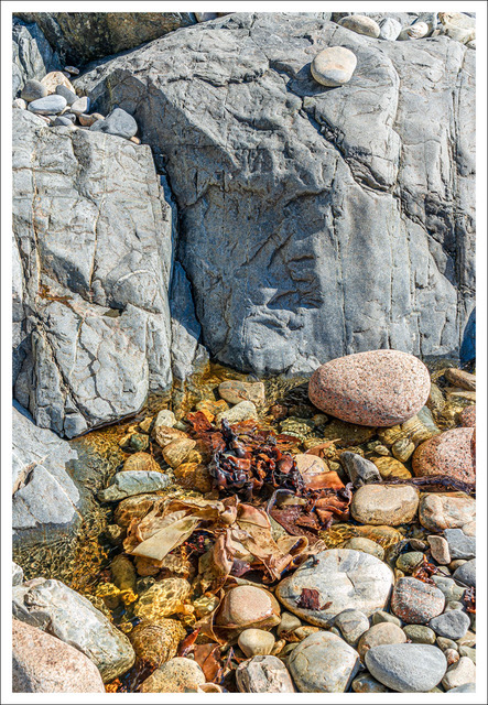 David Watkins • <em>Little Hunter’s Beach: Acadia</em> • Archival pigment print • 20″×16″ • $185.00