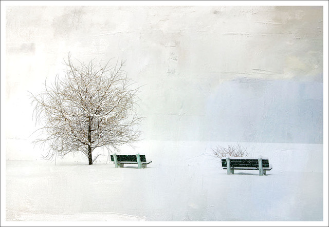 David Watkins • <em>Two Green Benches</em> • Archival pigment print • 16″×20″ • $185.00<a class="purchase" href="https://state-of-the-art-gallery.square.site/product/david-watkins-two-green-benches/1055" target="_blank">Buy</a>