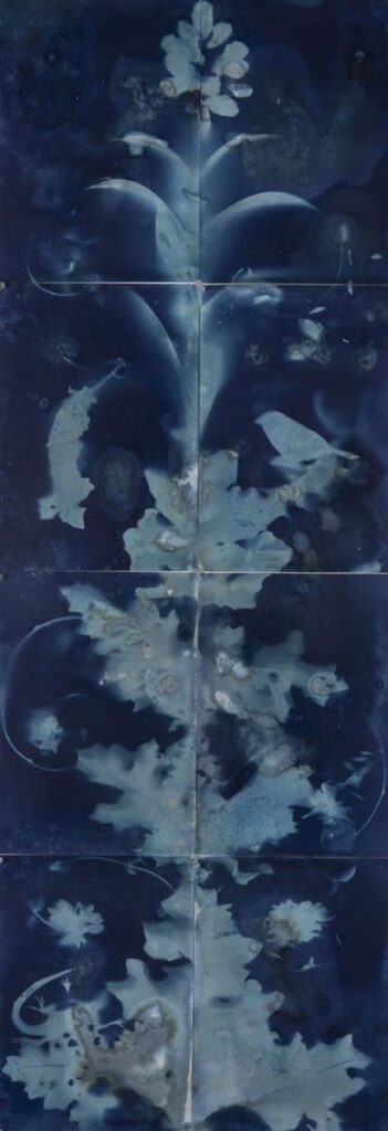 Christine Chin • <em>Untitled (Ara Pacis #1)</em> • Cyanotype • 47″×17″ • $600.00<a class="purchase" href="https://state-of-the-art-gallery.square.site/product/christine-chin-untitled-ara-pacis-1-/1161" target="_blank">Buy</a>