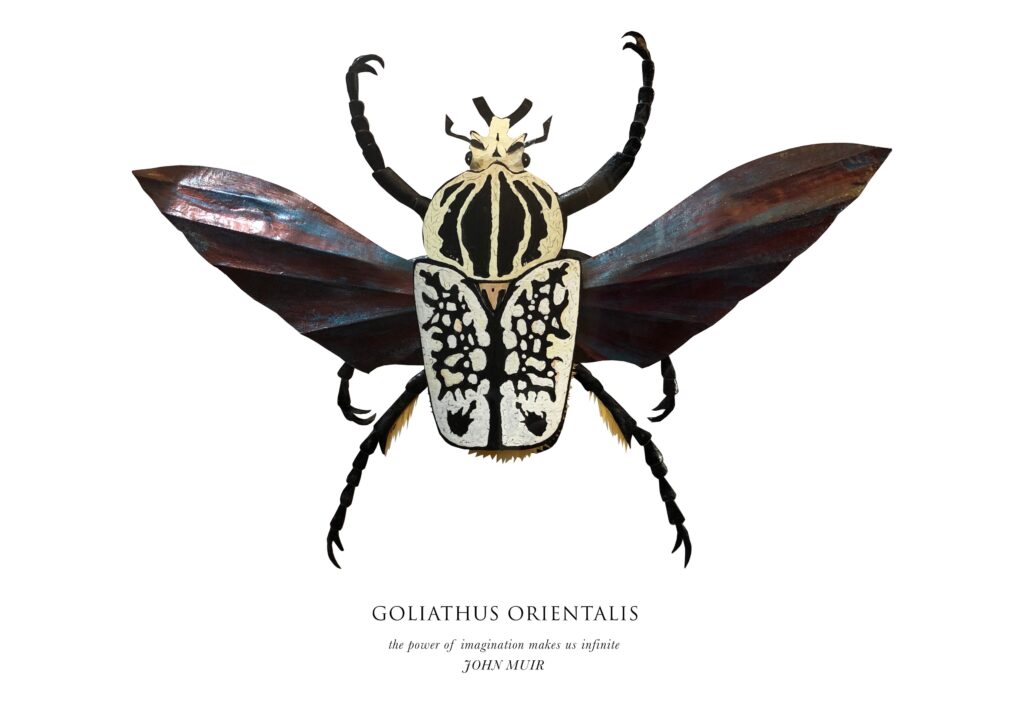Carla Elizabeth DeMello • <em>Goliathus orientalis</em> • Sculpted paper and gouache • 15″×12″ • $400.00<a class="purchase" href="https://state-of-the-art-gallery.square.site/product/carla-elizabeth-demello-goliathus-orientalis/1112" target="_blank">Buy</a>
