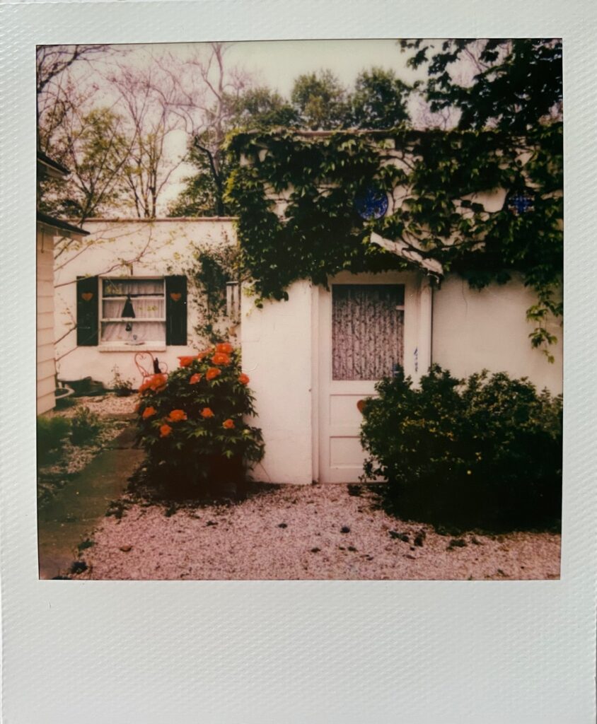 Ariel Bullion Ecklund • <em>Peonies</em> • Polaroid 600 • $275.00