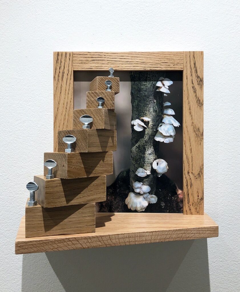 Eva M. Capobianco • <em>Map 8—Two Spirals</em> • Mixed media • 13½″×12½″×6½″ • $425.00<a class="purchase" href="https://state-of-the-art-gallery.square.site/product/eva-m-capobianco-map-8-two-spirals/1313" target="_blank">Buy</a>