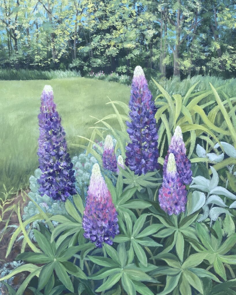 Patty L Porter • <em>Lupines</em> • Oil on gallery wrapped canvas • 16″×20″ • $550.00