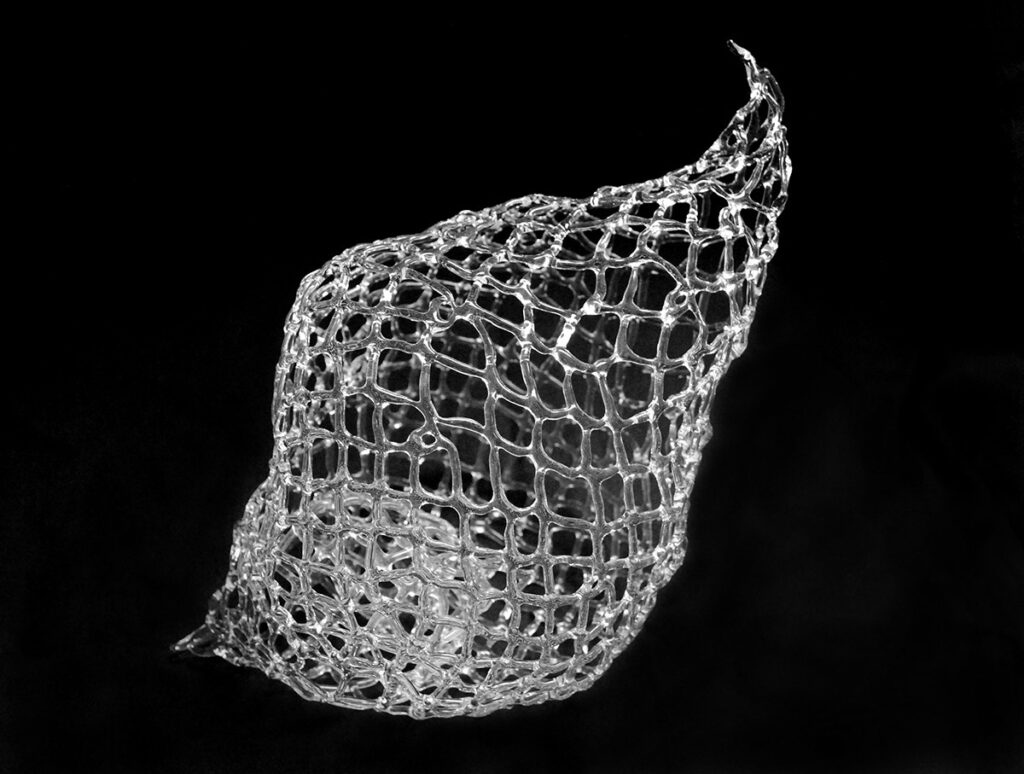 Marcy Chevali • <em>Untitled</em> • Flameworked borosilicate glass • 12″×7″×9″ • $3,750.00