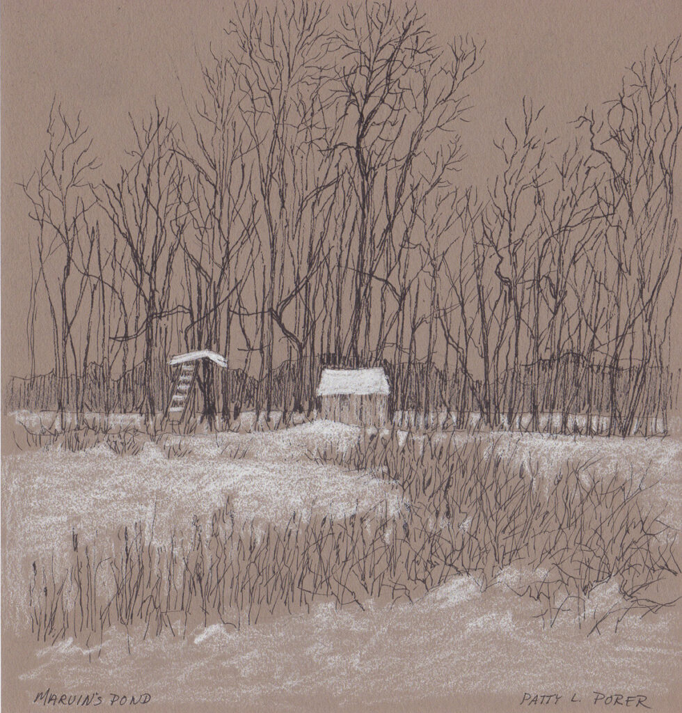 Patty L Porter • <em>Sketch — Marvin's Pond IV</em> • Graphite and pastel chalk • $75.00<a class="purchase" href="https://state-of-the-art-gallery.square.site/product/patty-l-porter-sketch-marvin-s-pond-iv/1836" target="_blank">Buy</a>
