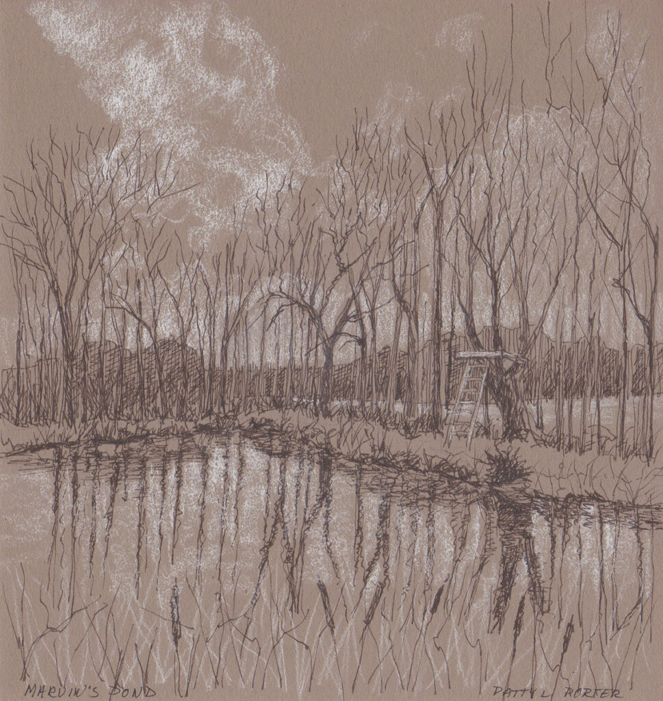 Patty L Porter • <em>Marvin's Pond V</em> • Graphite and pastel chalk • $75.00<a class="purchase" href="https://state-of-the-art-gallery.square.site/product/patty-l-porter-marvin-s-pond-v/1833" target="_blank">Buy</a>