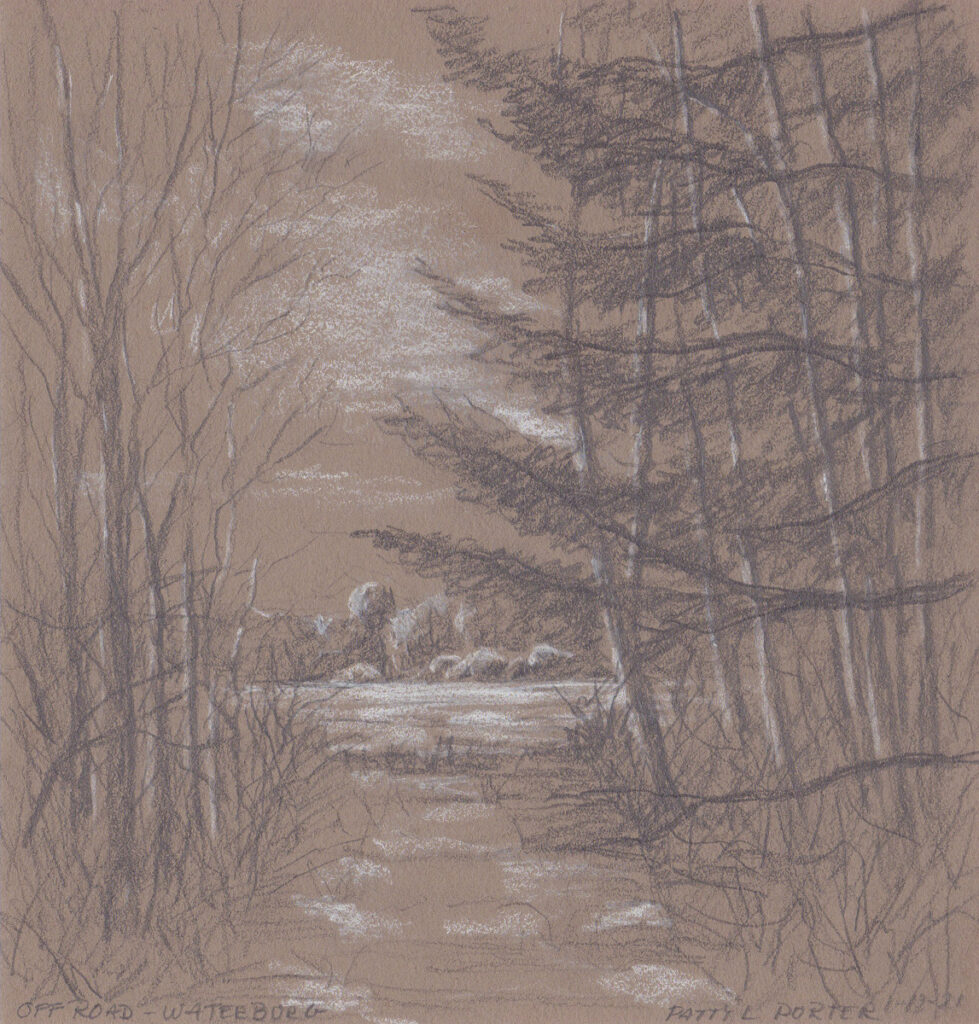 Patty L Porter • <em>Off Road ~ Waterburg</em> • Graphite and pastel chalk • $75.00<a class="purchase" href="https://state-of-the-art-gallery.square.site/product/patty-l-porter-off-road-waterburg/1835" target="_blank">Buy</a>