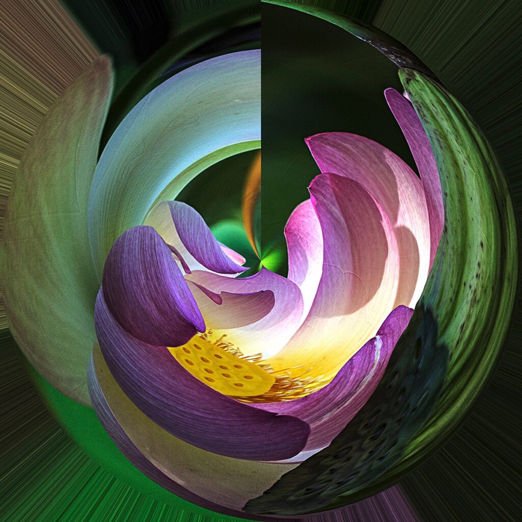 Nancy V. Ridenour • <em>Square Lotus Abstract</em> • Digital image on canvas • 16″×16″ • $140.00