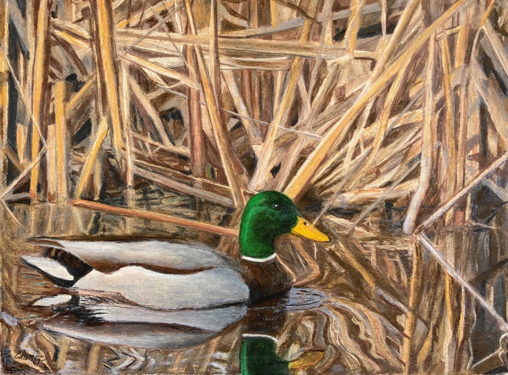 Ed Brothers • <em>Mallard</em> • Oil pastel • 16″×13″ • $850.00<a class="purchase" href="https://state-of-the-art-gallery.square.site/product/ed-brothers-mallard/2159" target="_blank">Buy</a>