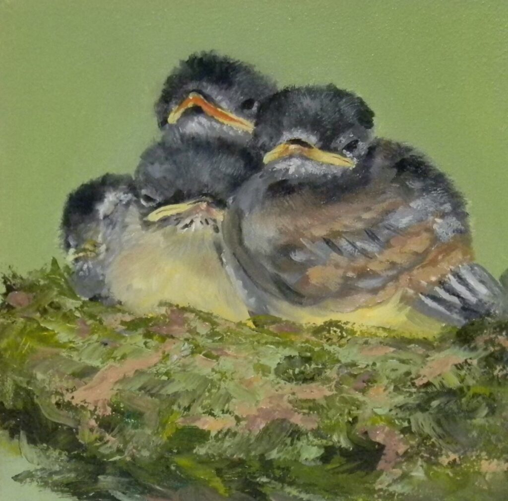 Annemiek Haralson • <em>Flycatcher Babies</em> • Oil on wood panel  • 6″×6″ • $125.00<a class="purchase" href="https://state-of-the-art-gallery.square.site/product/annemiek-haralson-flycatcher-babies/2192" target="_blank">Buy</a>