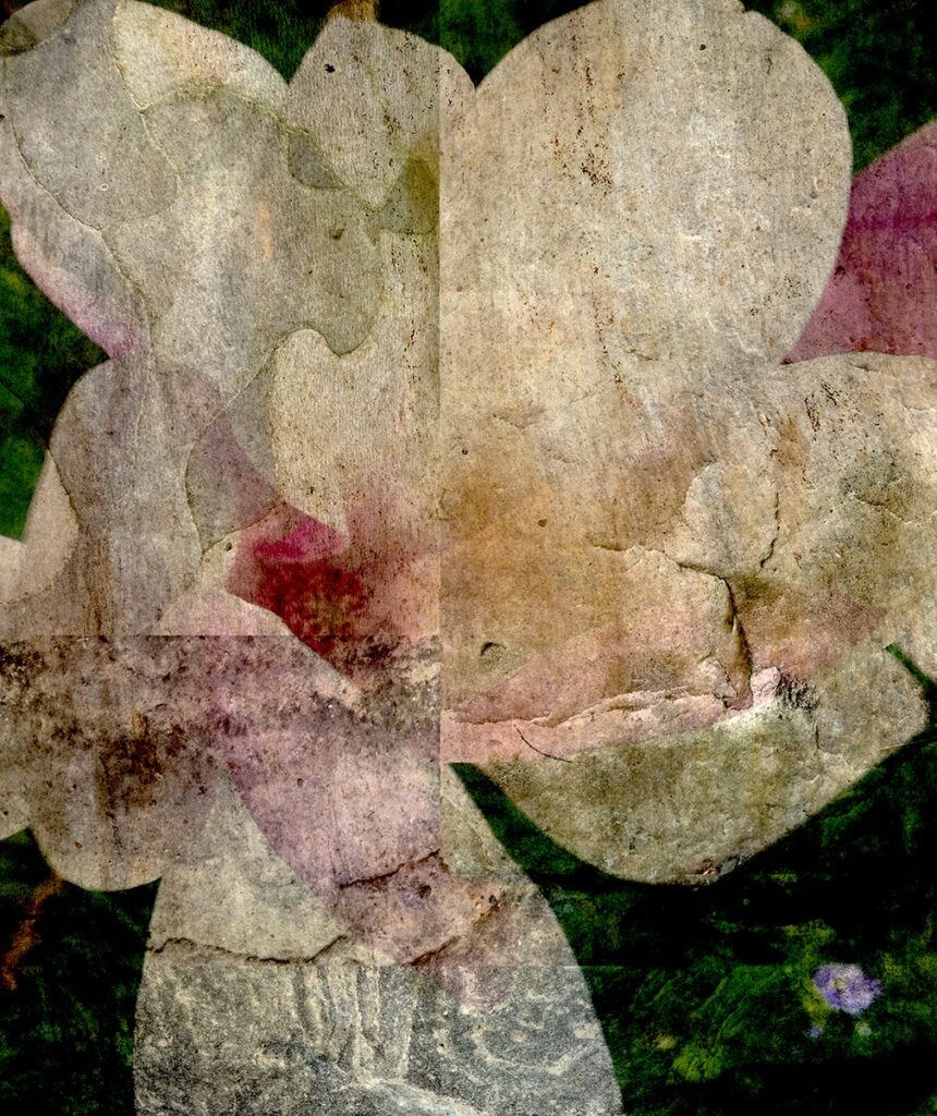 Darcy Binns • <em>Sometimes N° 159: Hallelujah, Spring Arrives Early</em> • Archival pigment on cotton rag, framed • 16″×20″ • $495.00
