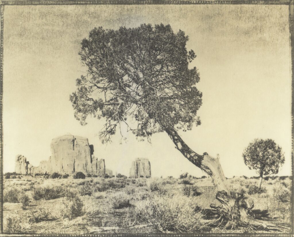 Mark Larsen • <em>Two Trees and Monument</em> • Silver gelatin print from film negative • 16″×20″ • $750.00