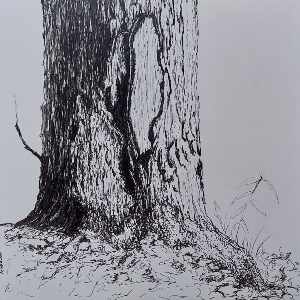 Annemiek Haralson • <em>Above the Roots</em> • Pen on paper • 6″×6″ • $75.00