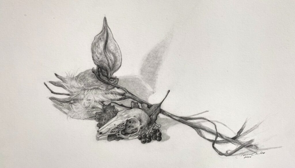 <span class="award_name">Honorable Mention</span>Shannon Eustice • <em>Still Life of a Meadow</em> • Graphite on paper • 14″×11″ • $360.00