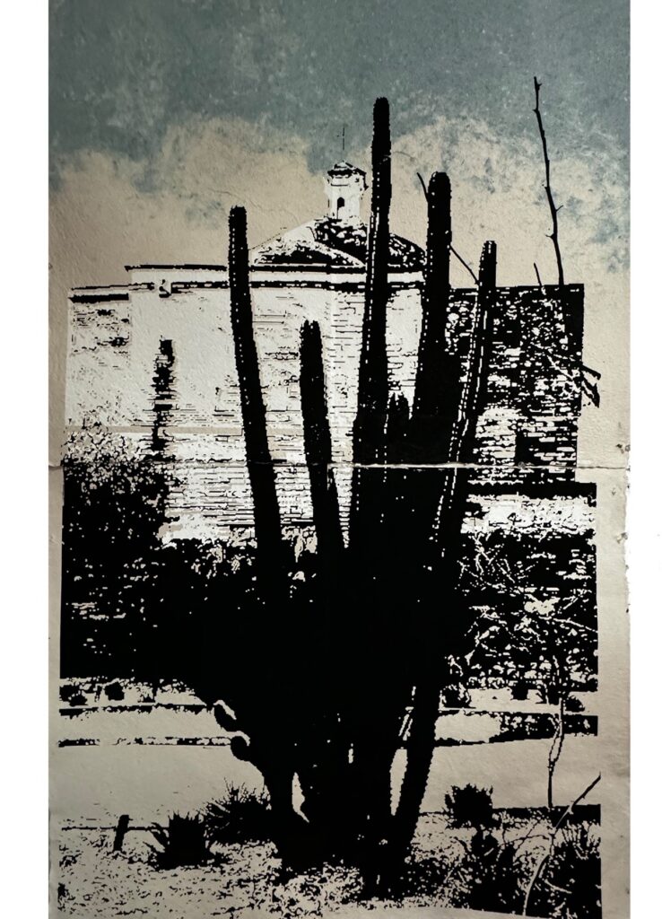 Patricia Thomas Hunsinger • <em>Oaxaca Cactus</em> • Screenprint on hand-made paper from agava plant • 36″× 57″ • NFS