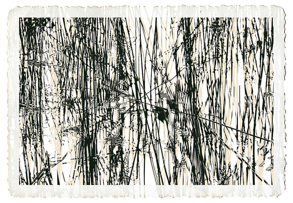 David Watkins Jr • <em>Reeds Double Exposed</em> • Archival pigment print • 13″× 9″ • $185.00