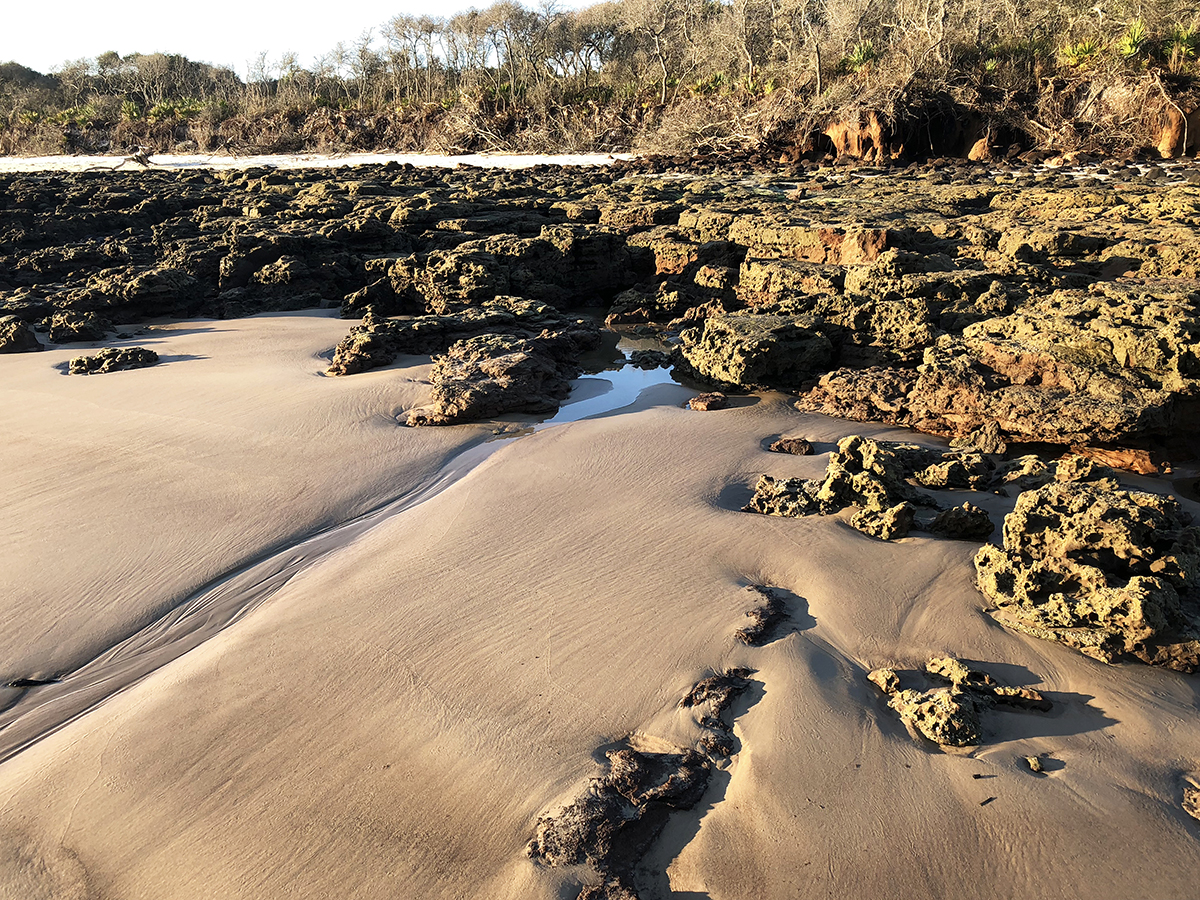 Eva M. Capobianco • <em>Rocks and Sand, Big Talbot Island, FL</em> • Digital photo on aluminum plate • 8½″×11″ • $75.00