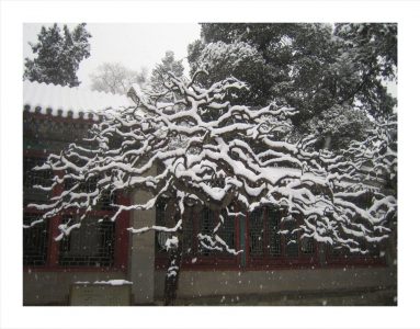 Daniel McPheeters • <em>Garden, Forbidden City</em> • Archival pigment print • 20″×16″ • $120.00