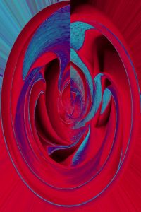 Nancy Ridenour • <em>Red Rose Solarized</em> • Archival print on canvas • 16″×20″ • $150.00