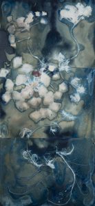 Christine Chin • <em>Invasive Species Cyanotypes: European Water Chestnut: Trapa natans</em> • Cyanotype photogram • 15″×33″ • $750.00