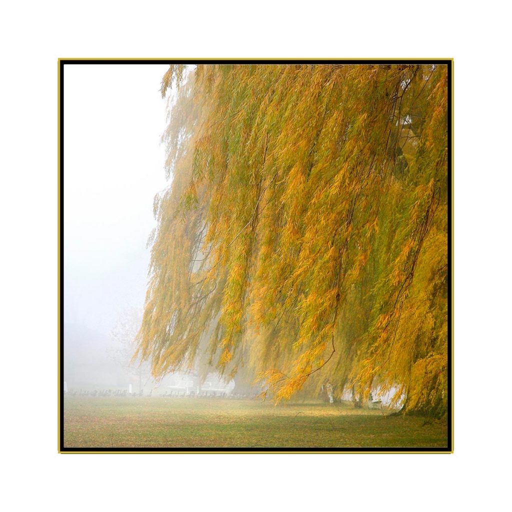 David Watkins Jr • <em>Willows in the Mist No.1</em> • Archival pigment on canvas • 30″×30″ • $425.00