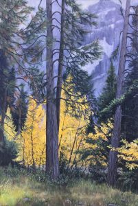 Patty L. Porter • <em>Yosemite Aspen</em> • NFS