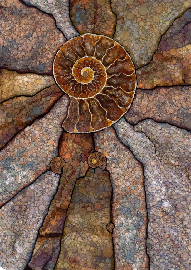 Daniel McPheeters • <em>Ammonite Inclusion</em> • Mixed media on panel • 17″×24″ • $200.00
