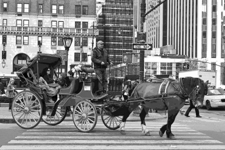 Nancy Ridenour • <em>NYC Horse and Buggy</em> • NFS