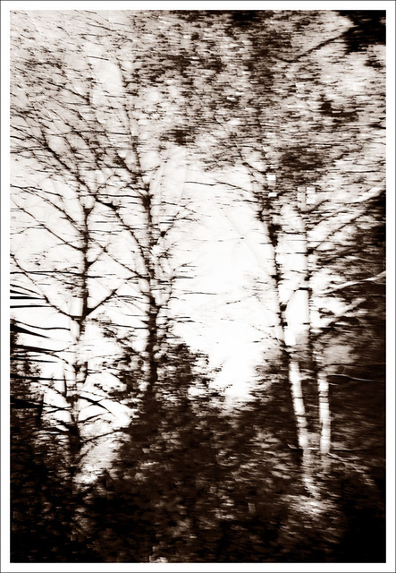 David Watkins • <em>Acadia at 35mph</em> • Archival pigment print • 20″×16″ • $185.00