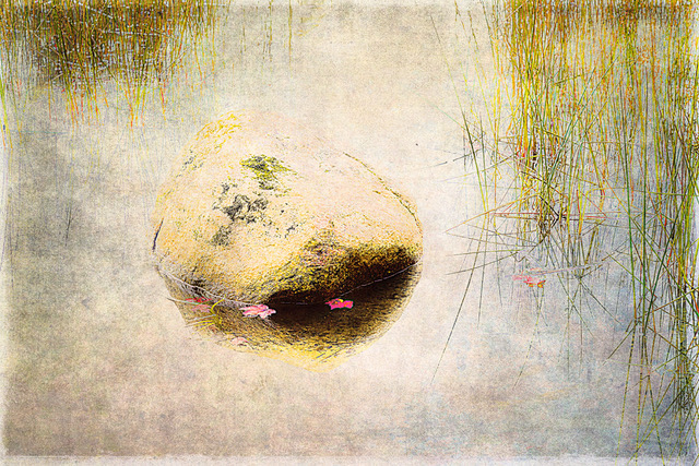 David Watkins • <em>Rock, Reeds, and Two Red Leaves: Eagle Lake</em> • Archival pigment print • 16″×20″ • $185.00