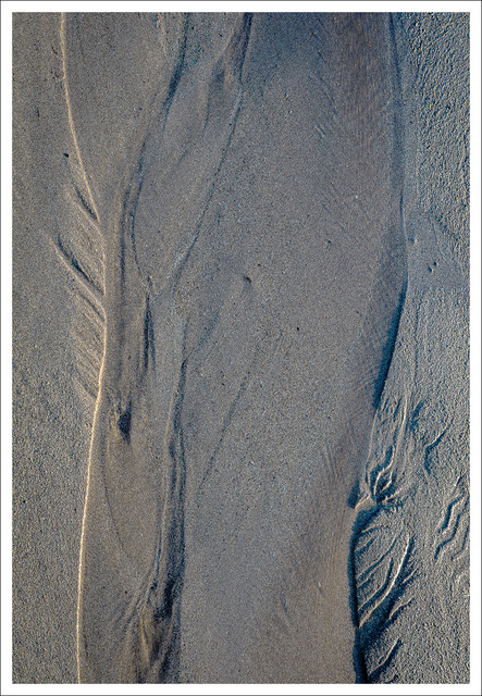David Watkins • <em>Sand Beach Abstract: Acadia</em> • Archival pigment print • 20″×16″ • $185.00