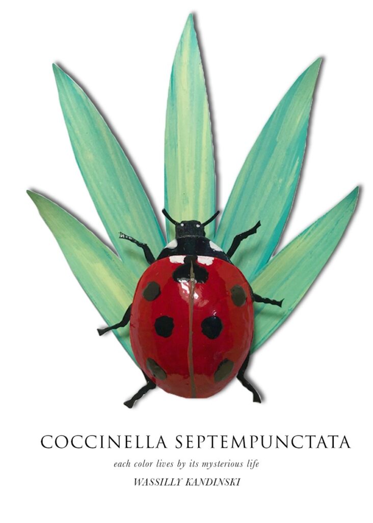 Carla Elizabeth DeMello • <em>Coccinella septempunctata</em> • Sculpted paper and gouache • 7″×9″ • NFS