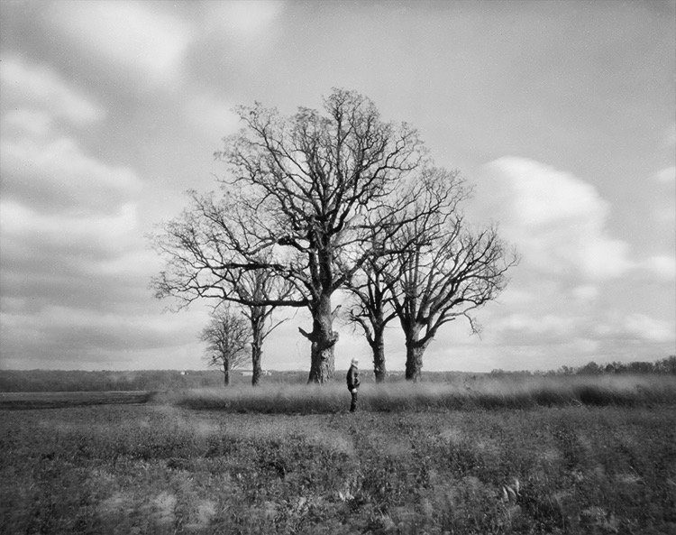 Joe Ziolkowski • <em>Standing on the Edge of a Field of Clover in 30MPH Winds During a Time of Angst</em> • Archival Ink Jet Print on Hahnemuhle Photo Rag Smooth Surface 310gsm Satin Paper • $200.00