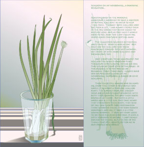 Margy Nelson • <em>Scallions On My Windowsill</em> • Digital print, limited edition of 15 • 20″×20″ • $200.00<a class="purchase" href="https://state-of-the-art-gallery.square.site/product/margy-nelson-scallions-on-my-windowsill/1364" target="_blank">Buy</a>
