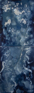 Christine Chin • <em>Invasive Species Cyanotype: European Water Chestnut (Trapa natans) #2</em> • Cyanotype photogram • 22″×66″ • $800.00