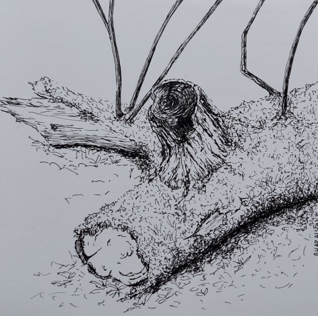 Annemiek Haralson • <em>Sprouting Again</em> • Ink pen on paper • 6″×6″ • $75.00