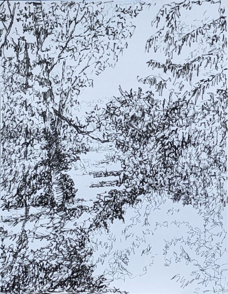 Diana Ozolins • <em>Dawn Shadows</em> • Ink on Canson multimedia paper • 11″×14″ • $300.00<a class="purchase" href="https://state-of-the-art-gallery.square.site/product/diana-ozolins-dawn-shadows/1822" target="_blank">Buy</a>