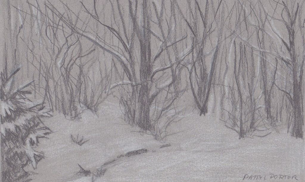 Patty L Porter • <em>Sketch — A Cold Back Yard</em> • Graphite and pastel chalk • $75.00<a class="purchase" href="https://state-of-the-art-gallery.square.site/product/patty-l-porter-sketch-a-cold-back-yard/1845" target="_blank">Buy</a>
