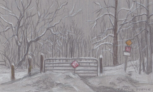Patty L Porter • <em>Sketch — Not the Last Winter Storm</em> • Graphite and pastel chalk • $75.00