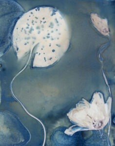 Christine Chin • <em>Native Species Cyanotypes: White Water Lily <rm-font>(Nymphaea odorata)</rm-font> #1</em> • Archival digital print (framed) • 12″×16″ • $249.00
