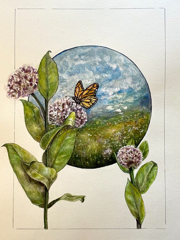 Shannon Eustice • <em>Monarch & Milkweed</em> • Watercolor and ink on paper • 11″×15″ • $400.00