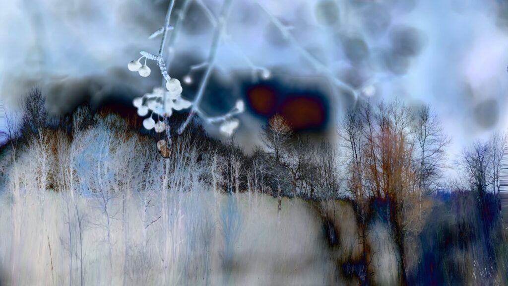 Audrey Hamilton • <em>Blue Frosted Forest</em> • Wood frame with glass, and photo • 16″×9″ • $900.00