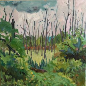 Catharine O'Neill • <em>Dryden Trail Bog</em> • Water-based oils • 10″× 10″ • $270.00