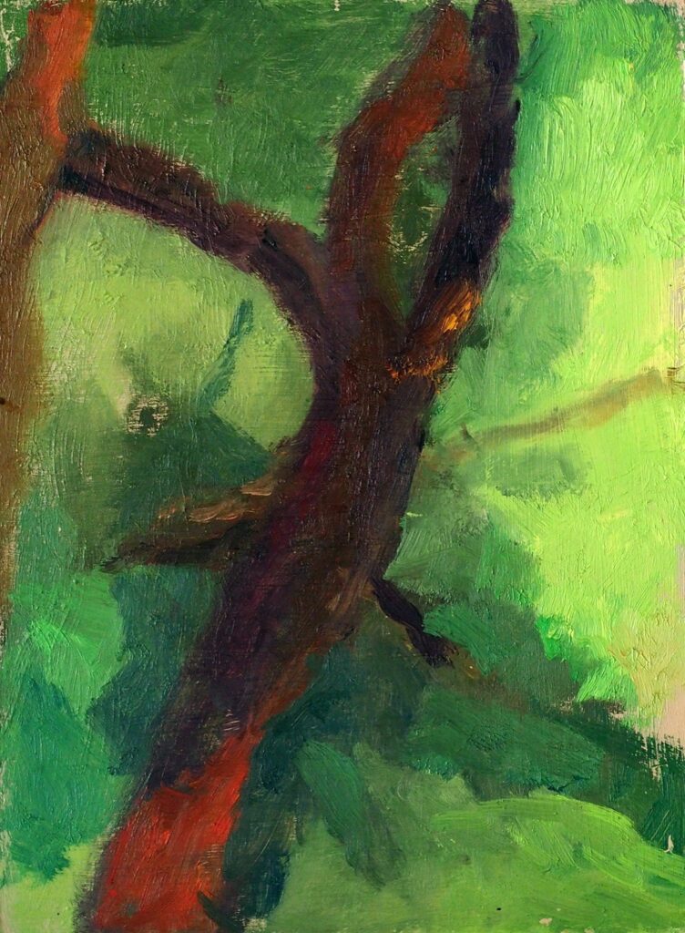 Janet Byer Sherman • <em>Tree in Strong Light</em> • Oil on board • 8″× 10½″ • NFS