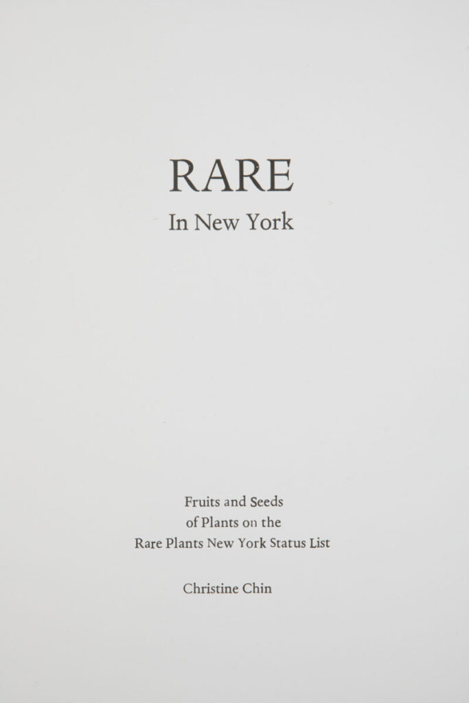 Christine Chin • <em>Rare in NY: Title Page</em> • Letterpress • 9″× 12″ • $90.00<a class="purchase" href="https://state-of-the-art-gallery.square.site/product/christine-chin-rare-in-ny-title-page/3385" target="_blank">Buy</a>